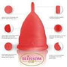 Features of menstrual cups